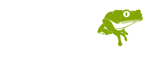 Amazon Conservation and Indigenous Culture Preservation