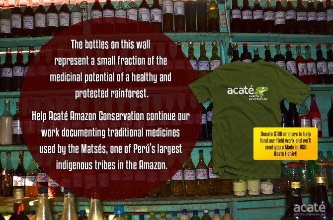 acaté amazon conservation traditional medicine iquitos rainforest