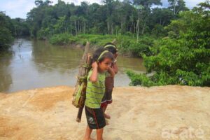 Amazon Acaté Amazon Conservation projects Matsés village of Estiron Amazon