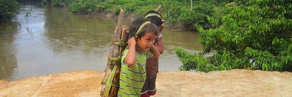 Amazon Acaté Amazon Conservation projects Matsés village of Estiron Amazon