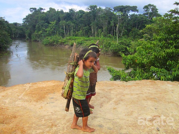 Amazon Acaté Amazon Conservation projects Matsés village of Estiron Amazon