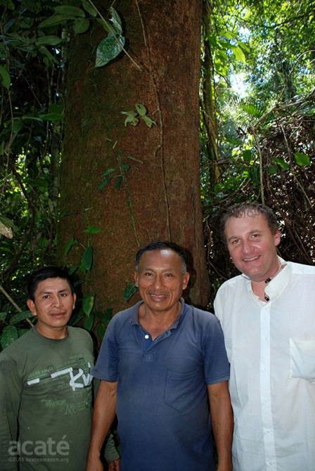 copaiba tree acate amazon conservation