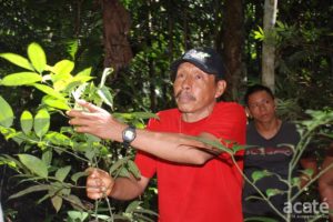 Apprentices with Lucho in Healing Forest in Remoyacu.