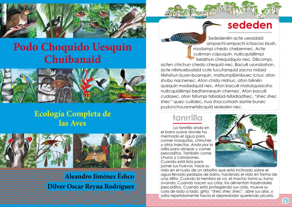 Matsés bird ecology