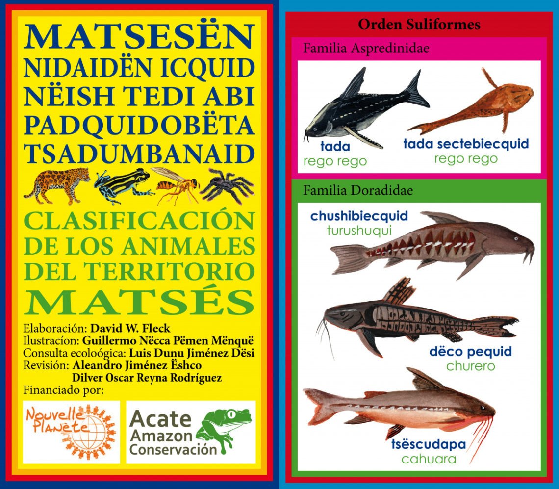Matsés taxonomic book