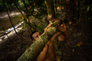 Matsés setting up camp