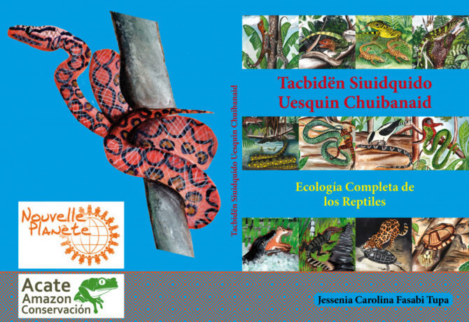 matses education reptile reader