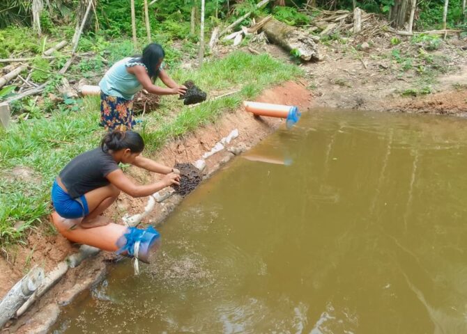 food security climate resiliency Matsés fish farm women's empowerment